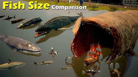 Size Comparison Fish Size Mammal Sea Creature Fictional Bloop