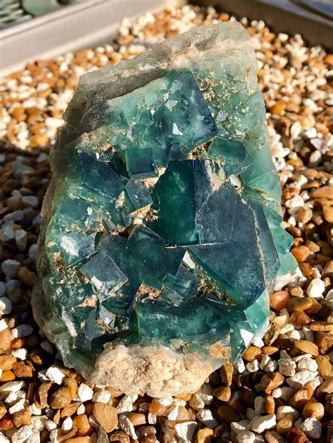 608g Standing Green Cubic Fluorite Crystal Cluster Mineral Specimen