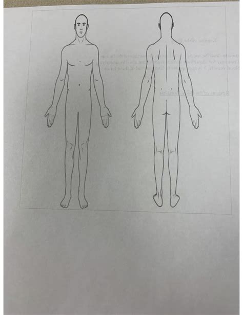 Anatomy Body Labelling Diagram Quizlet