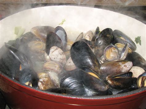 Steamed Mussels and Clams - BigOven