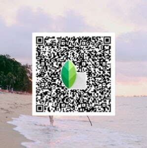 Best Snapseed Presets Qr Codes