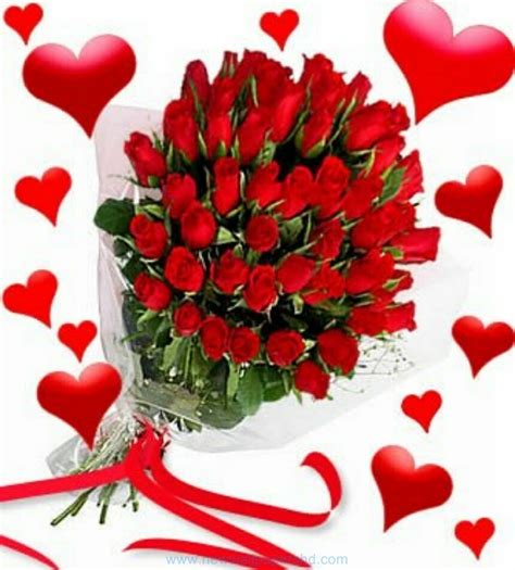 Valentines Day Flowers Orchid Lover