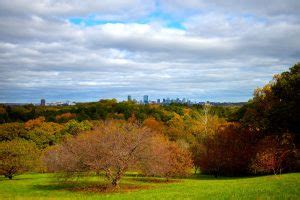 Fall Foliage In Boston Best Spots Timing And More