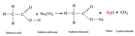 How Do Carboxylic Acids React With Carbonates Quizlet