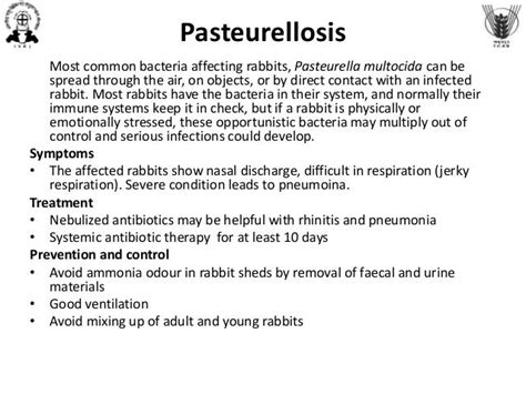 Health management of rabbits