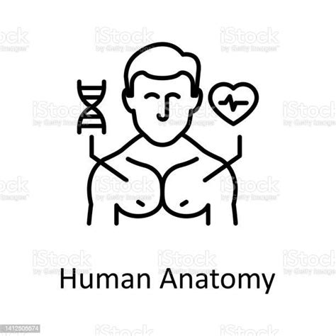 Human Anatomy Vector Outline Icon Design Illustration Miscellaneous