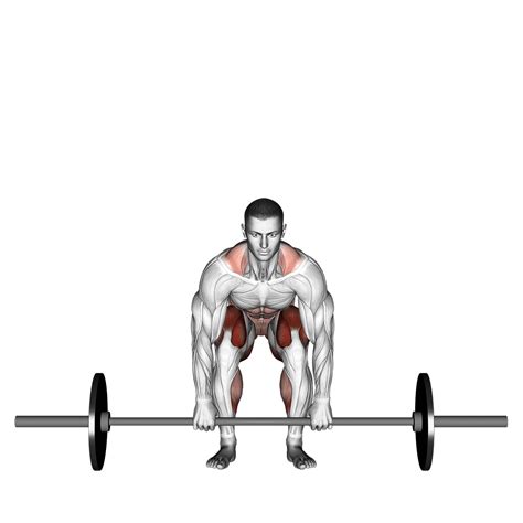 Barbell Deadlift 4 Major Benefits And Muscles Used Explained Inspire Us