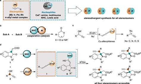 Stereodivergent Synthesis Via Dual Catalysis A Representative