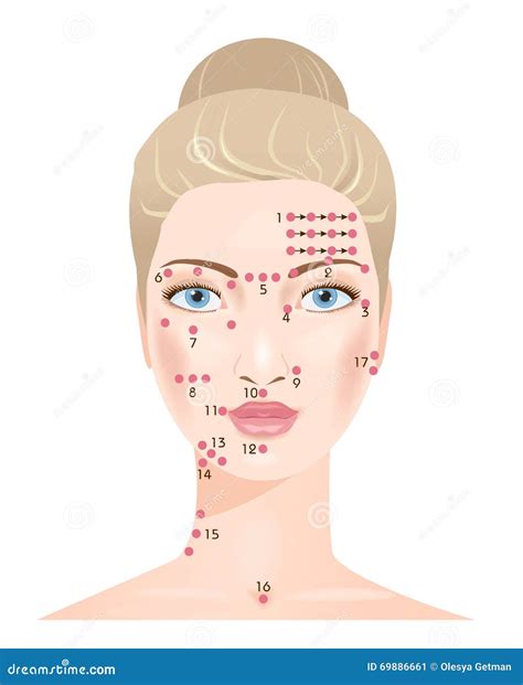 Shiatsu Massage Face Points Stock Vector Illustration Of Beautiful