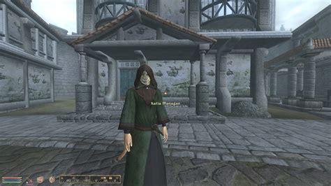 Image 8516 3d Katias Wizard Robe Khajiit Tes Oblivion Anvil Character