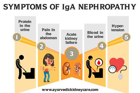 Iga Nephropathy Treatment In Ayurveda The Best Remedy Karma Ayurveda