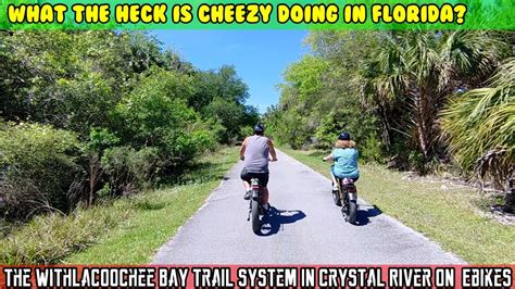 Withlacoochee Bay Trail In Crystal River On Magicycle Deer Mini And