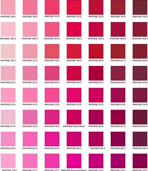 Pantone Pantone Color Chart Pantone Colour Palettes Pantone Pink