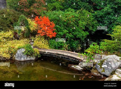 WA17914-00.....WASHINGTON - Fall colors and bridge over a pond in ...