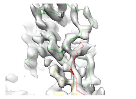 The Cryo Em Structure Of The Human Uromodulin Filament Core Reveals A