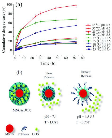 Release Of Dox From Dox Mncs At Different Ph Values And