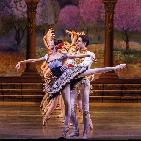 Pin By Annablochl On Marrinsky Ballett Contemporary Ballet Ballet