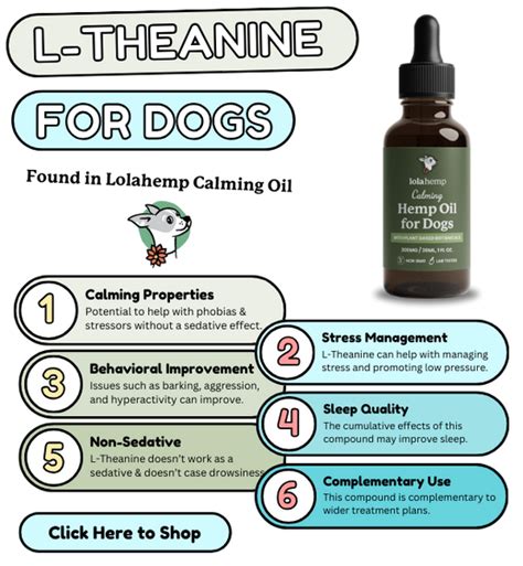 Understanding L Theanine For Dogs Benefits And Products Lolahemp
