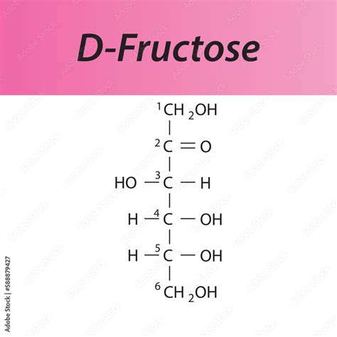 Straight Chain Form Chemical Structure Of D Fructose Sugar Scientific