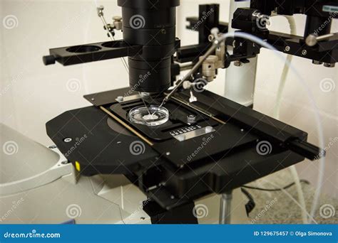 Het Materiaal In Het Laboratorium Van De Kliniek Van Bemesting In Vitro