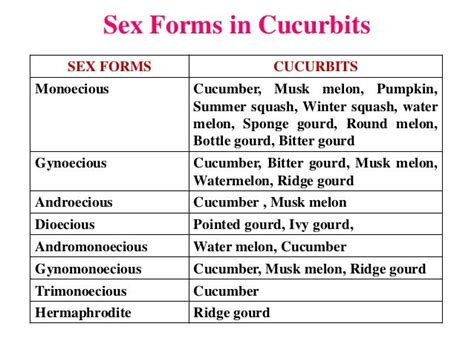 Sex Expression In Cucurbits