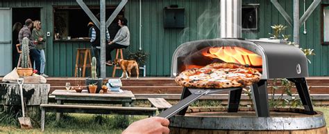 Outdoor Pizza Oven Aidpiza 12 Wood Pellet Pizza Ovens With