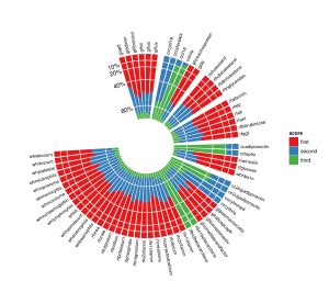 D3 radial bar chart - TeresaDerek