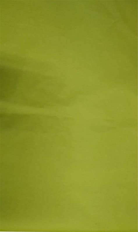 Green Plain Color Paper, For Stationery, GSM: 100 at ₹ 70/kg in Jaipur
