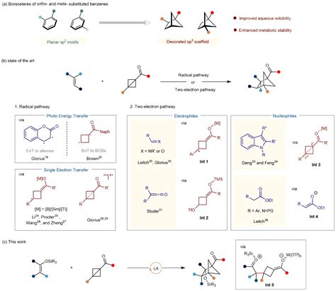 有机合成丨西湖大学邓力课题组nature Communications：lewis酸催化烯醇硅醚和双环丁烷 哔哩哔哩