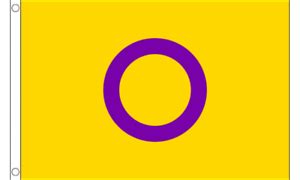 Intersex Yellow & Purple Flag 5 x 3 FT - Gay LGBT LGBTQ Party Festival ...