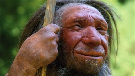 Alien Intelligencesexneanderthals Npr Article Discussing How Ba Neanderthals Are Rrittering