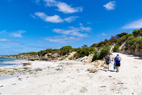 Top 5 Best Beaches on Kangaroo Island - Explore Shaw