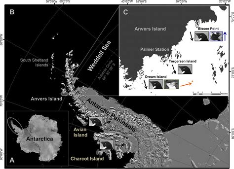 Adelie Penguin Habitat Map