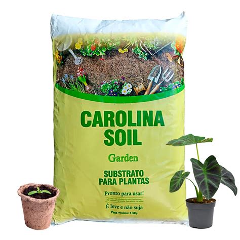 Substrato Carolina Soil Garden Ec Kg Pronto Pra Usar