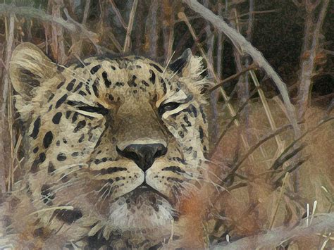 Amur Leopard 1 Digital Art By Ernie Echols Fine Art America