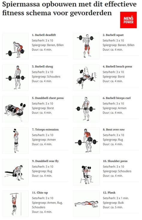 Fitness Schema Voor Gevorderden • Menspowernl Fitnessoefeningen