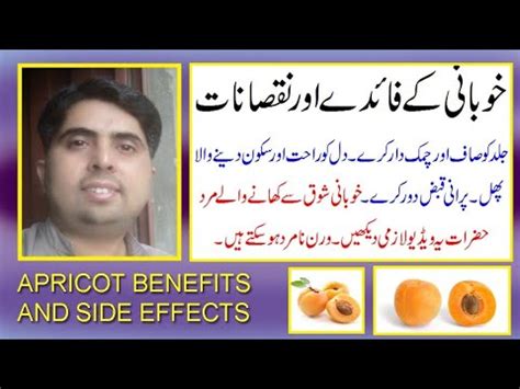 Khubani Ke Fayday Aor Nuqsanat In Urdu Hindi Apricot Fruit Health