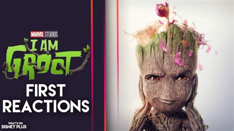 Marvels I Am Groot Season 2 First Reactions Revealed What S On