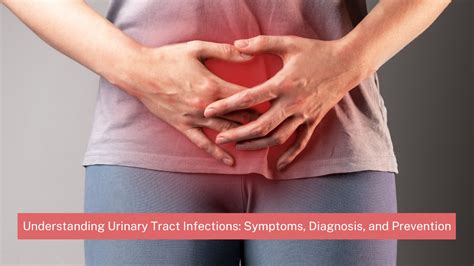 Urinary Tract Infections Utis Symptoms Diagnosis Prevention