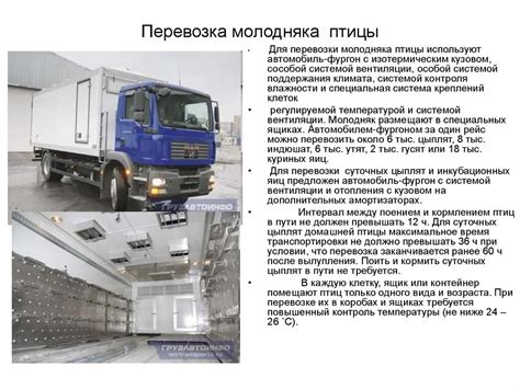 Перевозка живых грузов. Транспортировка животных - презентация онлайн