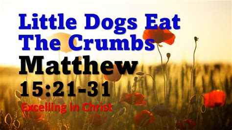 Little Dogs Eat The Crumbs Matthew 1521 31 Daily Reading Youtube