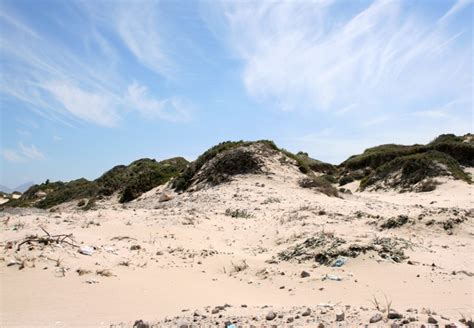 Macassar Dunes In Cape Town