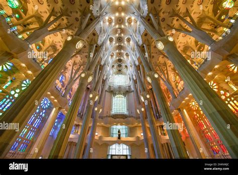 Nave Ceiling Vault Columns Sagrada Familia Basilica By Antoni Gaudi