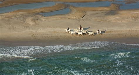 Festival de la Camargue et du Delta du Rhône du 8 au 12 mai 2024 Toutma