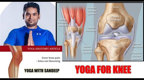 8 Minutes To Stronger Knees Yoga With Sandeep Vietnam Youtube