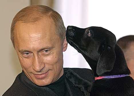 Vladimir putin russia s top dog is a party animal – Artofit