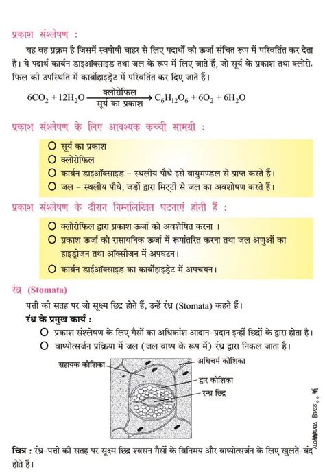 Life Processes Class 10 Notes Pdf जैव प्रक्रम के नोट्स