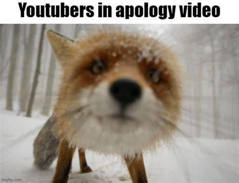 Youtubers In Apology Video Imgflip