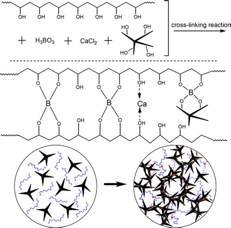 Schematic Of Cross Linking Reaction For Pvazno Composites Download