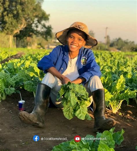 Benefits Of Backyard Garden Ayanda Kunene Buymeacoffee